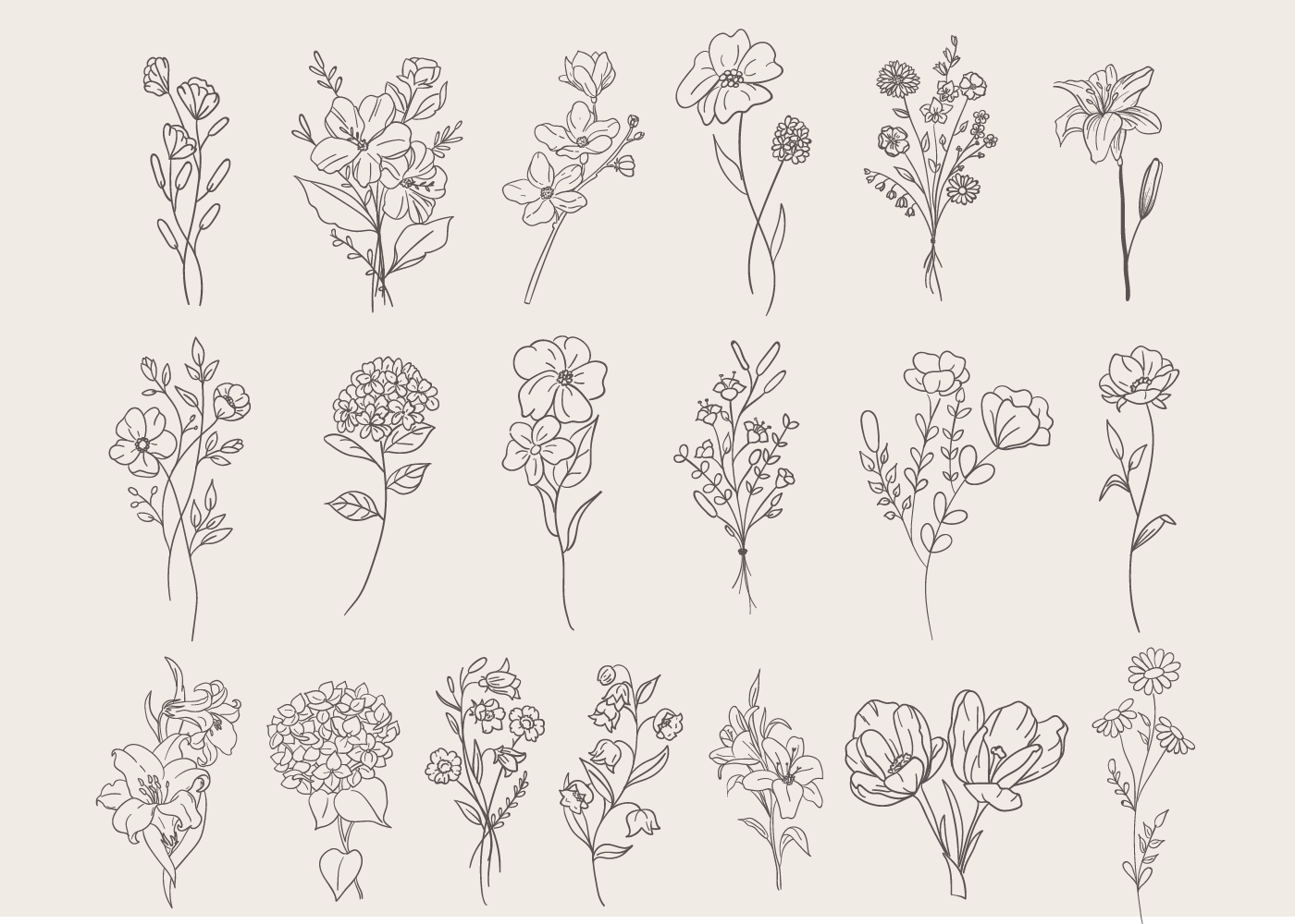 Flower Set Doodle 638048 Vector Art at Vecteezy