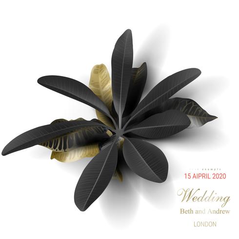 Tropical black and gold leaf on white background vector