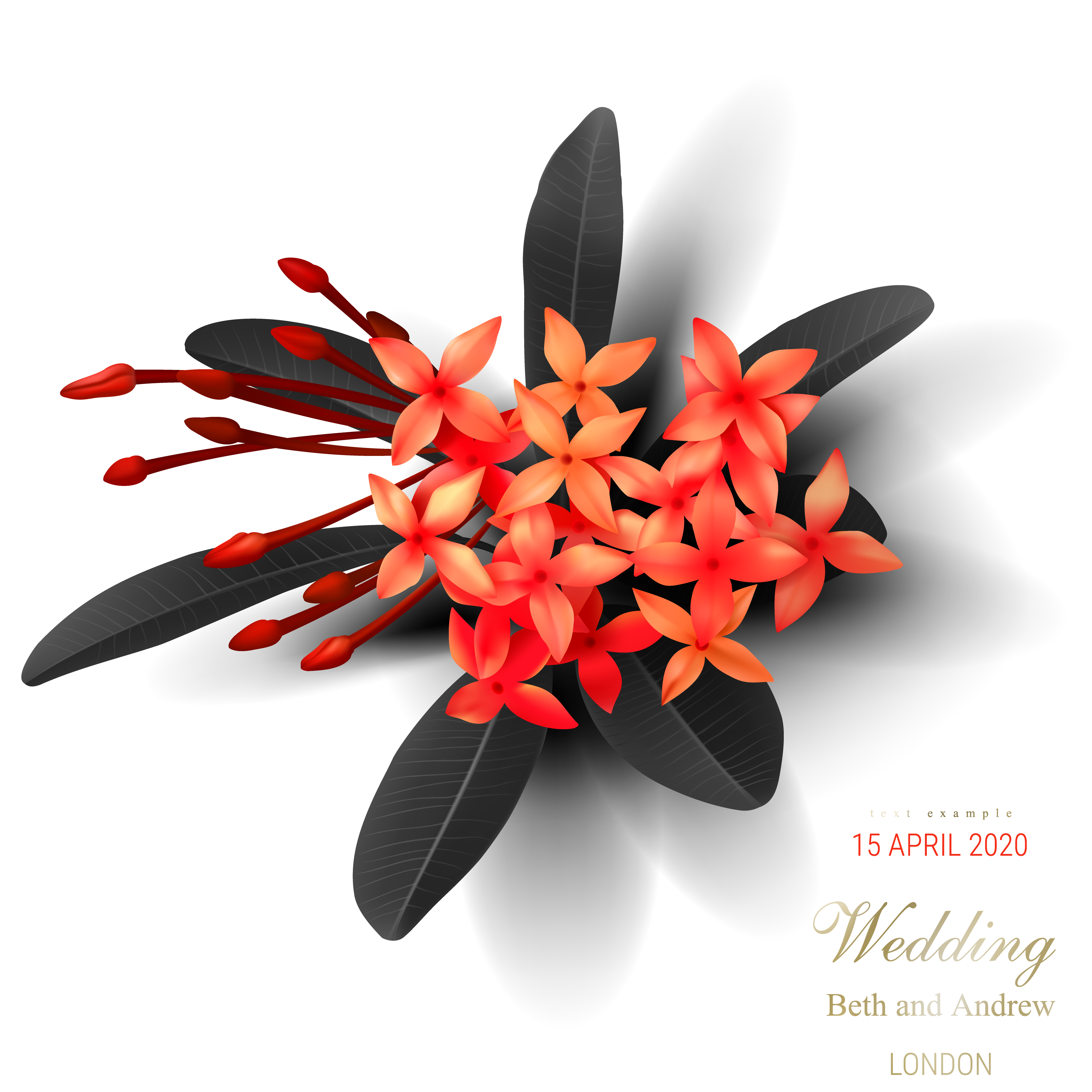 Tropical black leaves and exotic red flower - Download Free Vectors