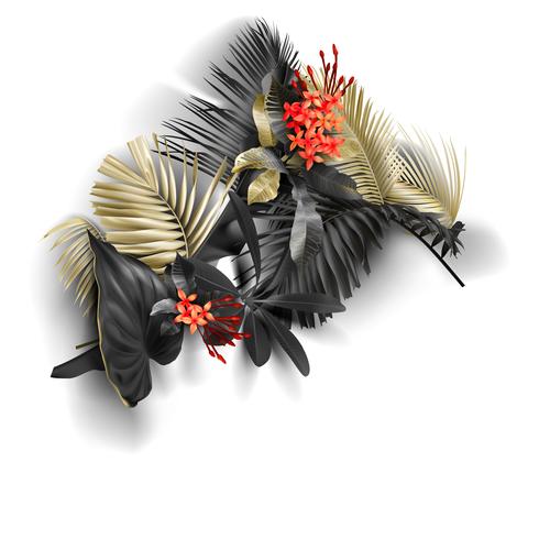 Tropical black and gold leaves on white background vector