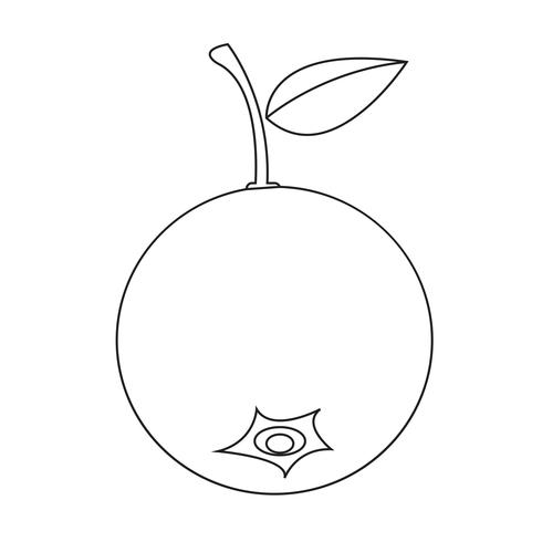blueberry fruit icon vector