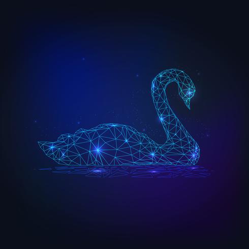 Swan swimming on the water. vector