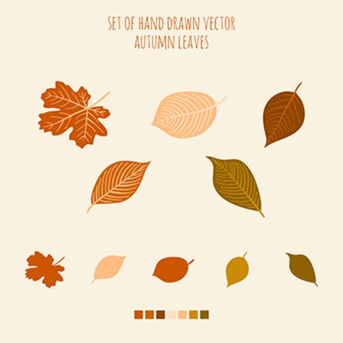 Set of vector hand drawn leaves with palette