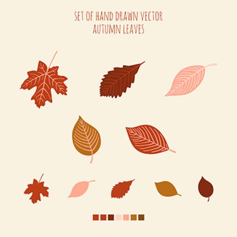 Set of vector hand drawn leaves with palette