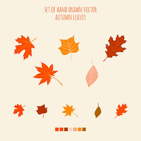 Set of vector hand drawn leaves with palette