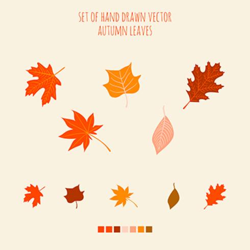 Set of vector hand drawn leaves with palette