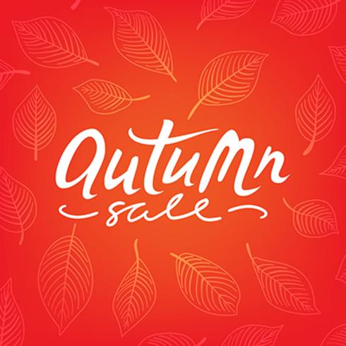 Autumn sale vector banner with leaves