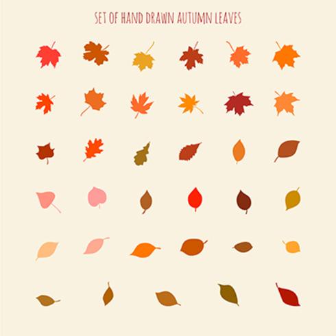 Set of vector hand drawn leaves silhouettes