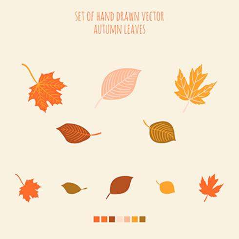 Set of vector hand drawn leaves with palette