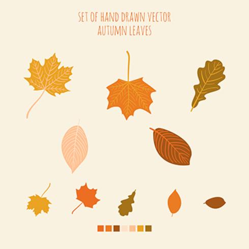 Set of vector hand drawn leaves with palette