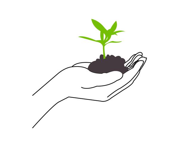 Growing plant in hands vector