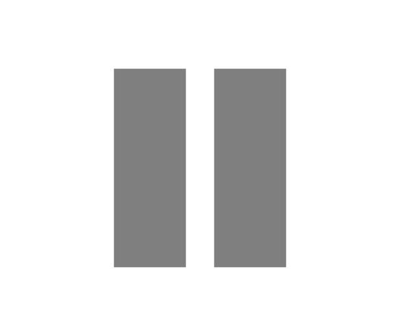 Pause sign vector