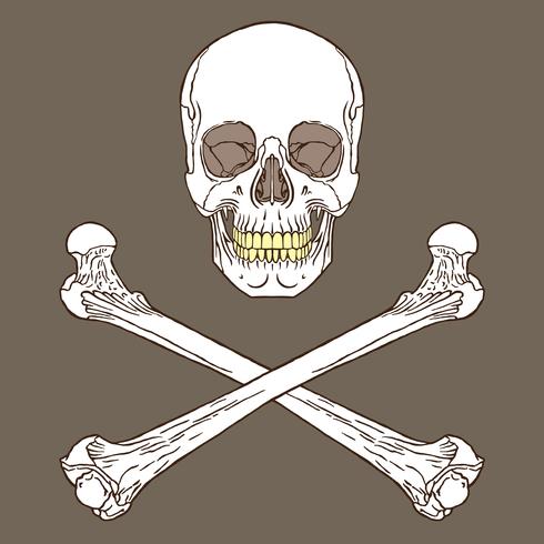 Pirate Sign Brown vector