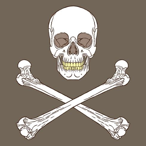 Señal de pirata marrón vector