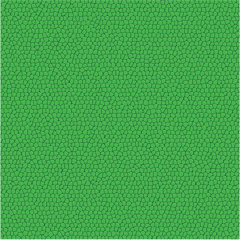 Textura de patrón de vector de cuero verde