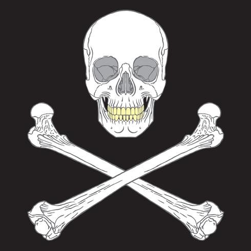 cartel pirata negro vector