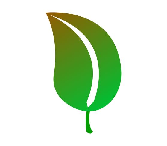 Vector de hoja verde