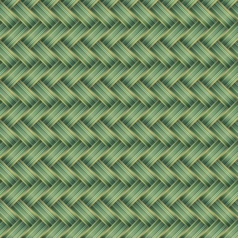 Green Wicker Seamless Pattern Vector illustration