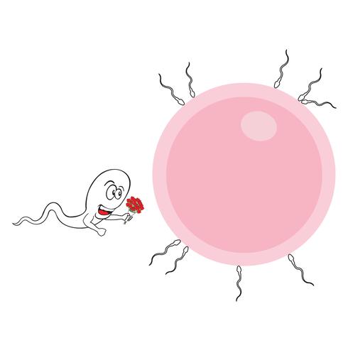 Polite sperm vector