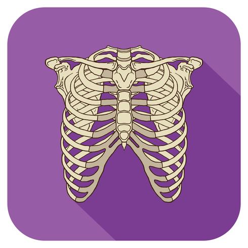 Ribs Flat Icon Purple vector