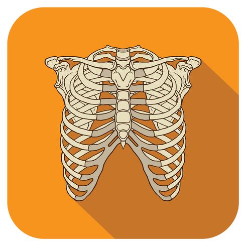 Costillas Icono Plano Naranja vector