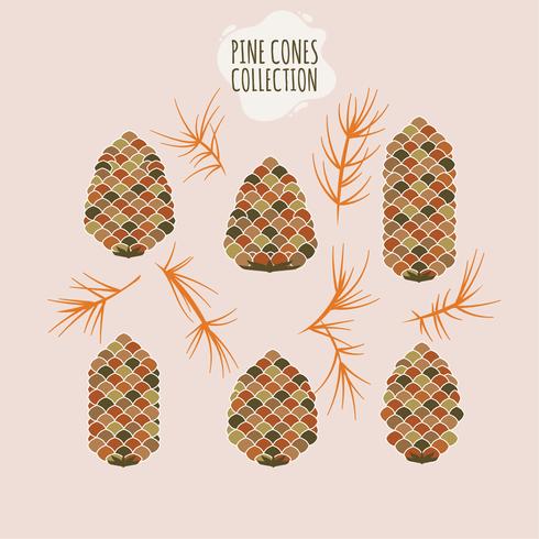 Pine cone Collection of Christmas tree branches with pine cones and mistletoe  vector
