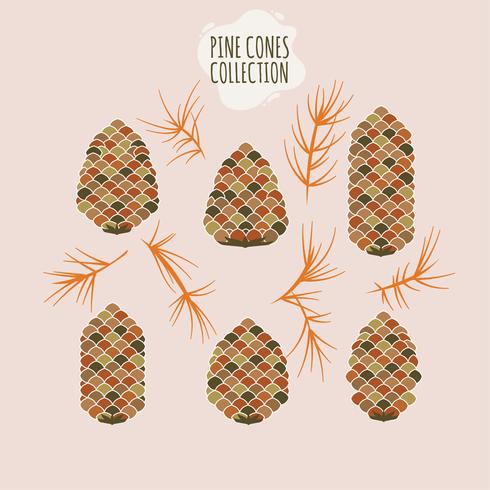 Pine cone Collection of Christmas tree branches with pine cones and mistletoe  vector