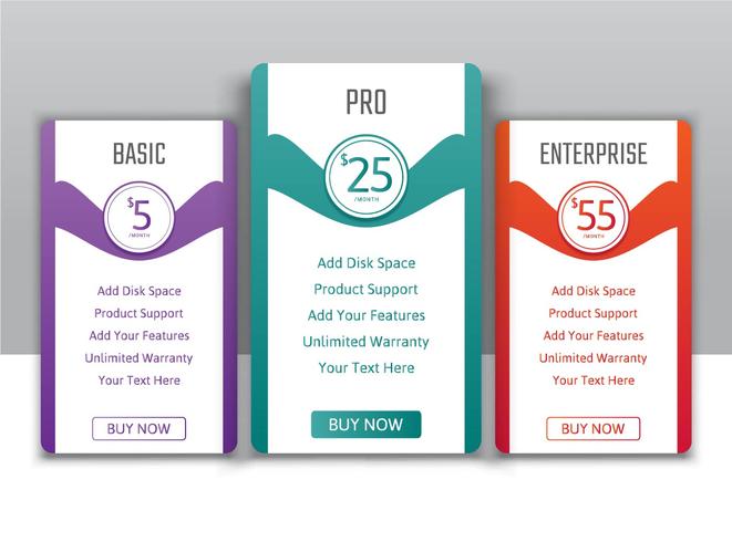 Pricing plans for websites and applications vector