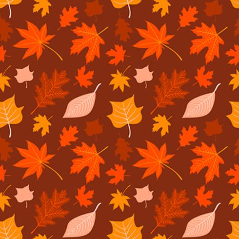 Vector hand drawn autumn seamless pattern