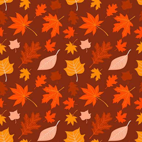 Vector hand drawn autumn seamless pattern