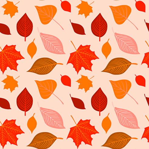 Vector hand drawn autumn seamless pattern