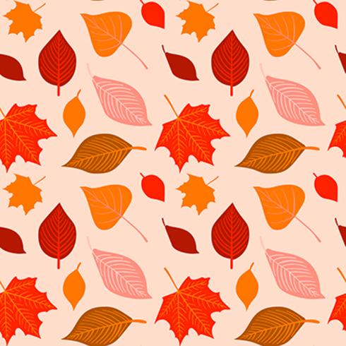 Vector hand drawn autumn seamless pattern