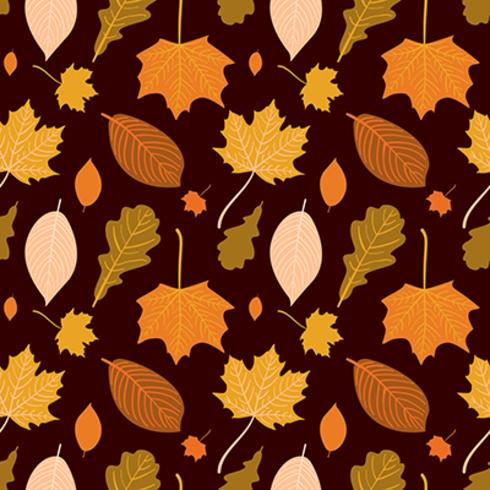 Vector hand drawn autumn seamless pattern