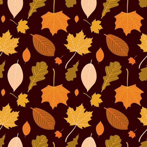 Vector hand drawn autumn seamless pattern 641225 Vector Art at Vecteezy