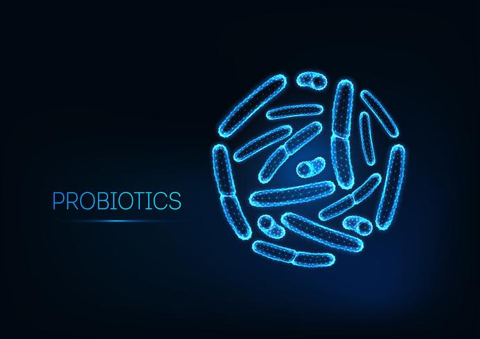 Probiotics under microscope. Gram positive bacteria, bacilli. Normal gut flora, bifidobacterium. vector