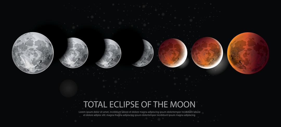 Eclipse total de la ilustración vectorial de la luna vector