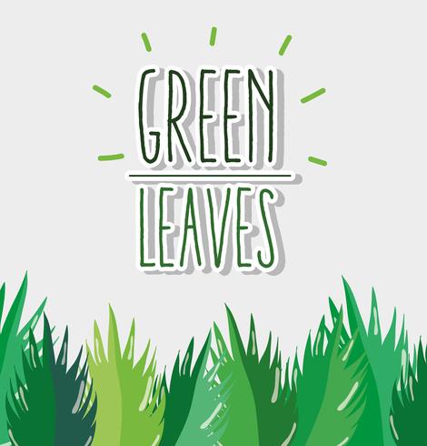 Green leaves frame vector