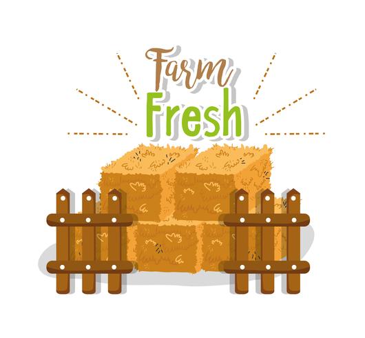 Farm fresh cartoons vector