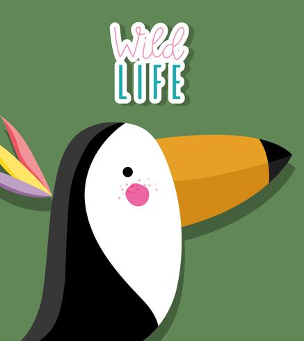 Cute tucan wild bird vector