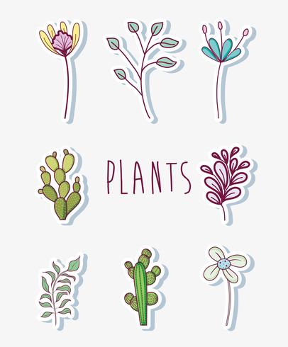 Set of flowers vector