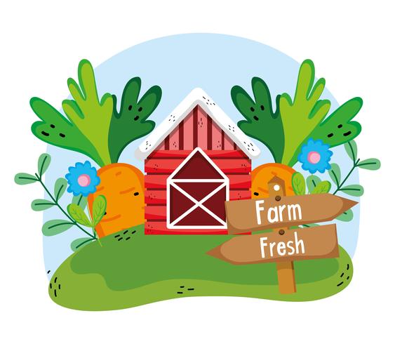 Farm fresh cartoons vector