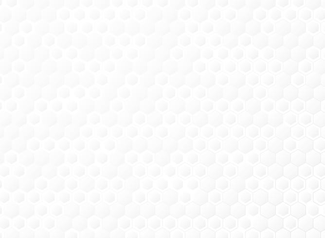 Abstract hexagonal gradient white of technology template background vector. illustration vector eps10 
