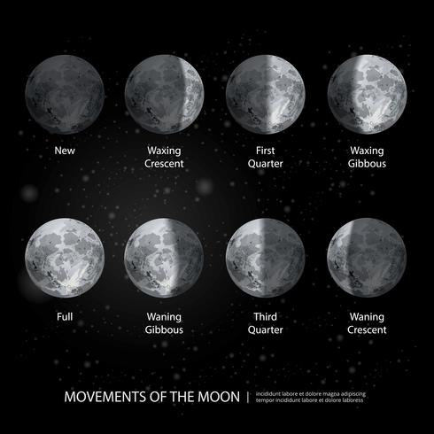 Movements of the Moon Phases Realistic Vector Illustration