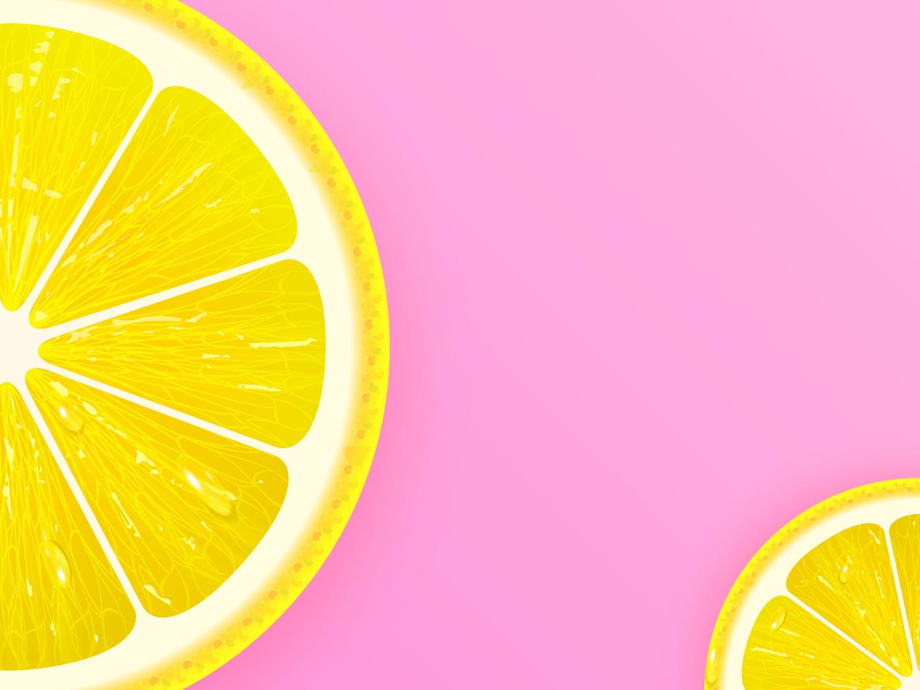Lemon Slice On Pink Vector Background 643052 Vector Art at Vecteezy