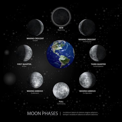 Movimientos de las fases lunares Ilustración vectorial realista vector