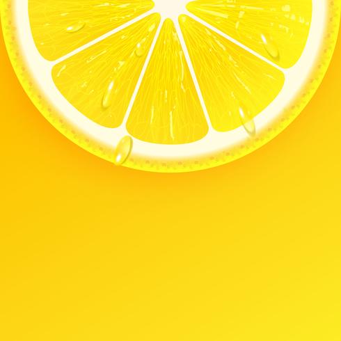 Sliced Fresh Lemon Background Vector