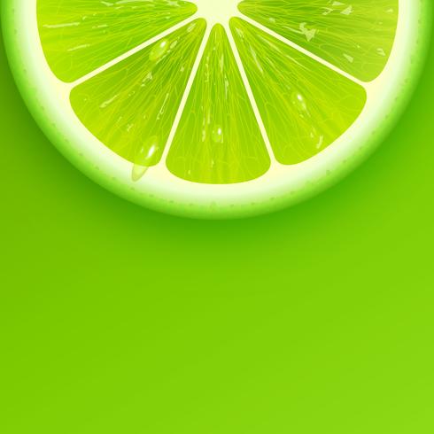 Sliced Fresh Lime Background Vector