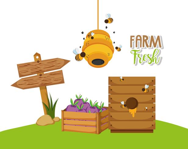 Farm fresh cartoons vector