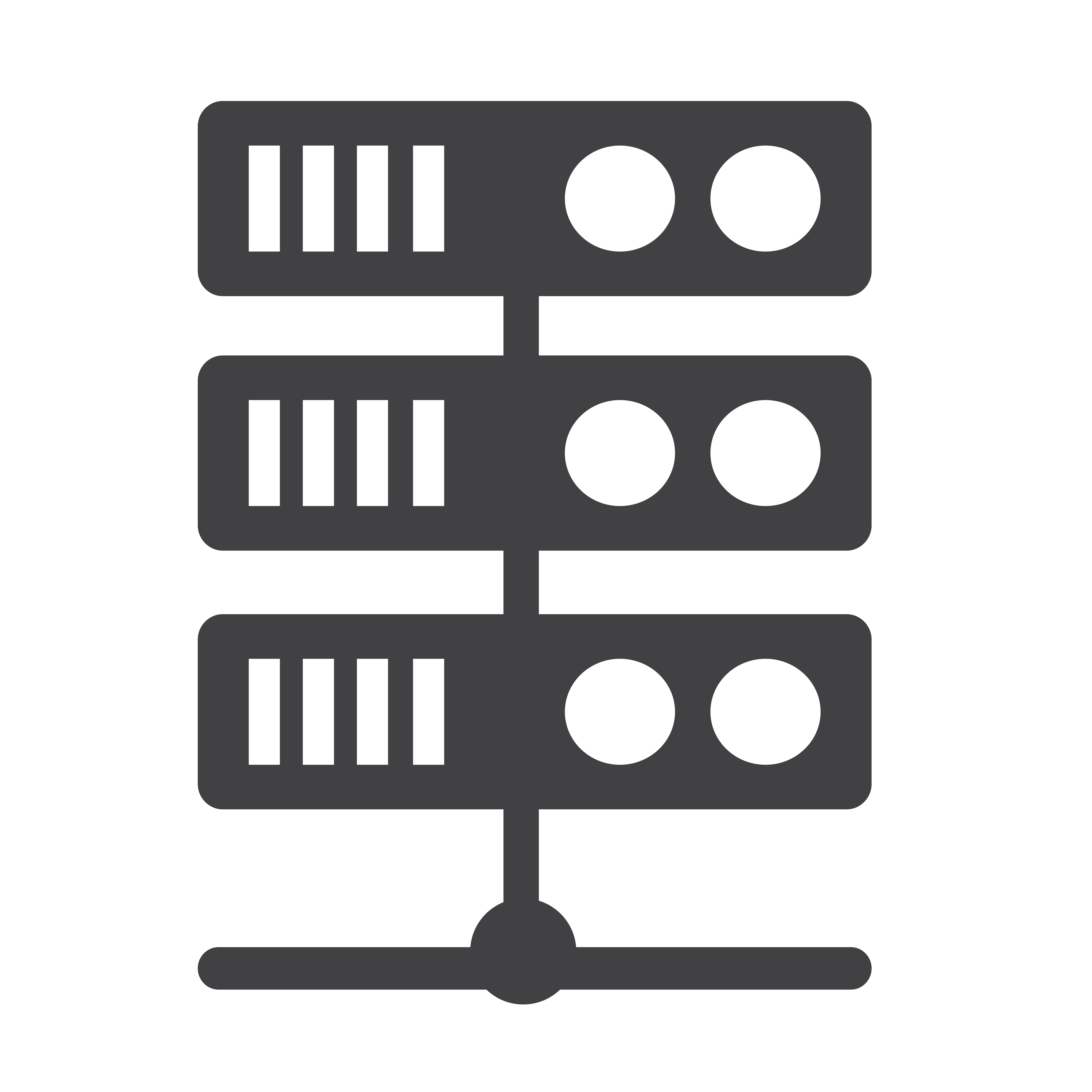 Server Hosting