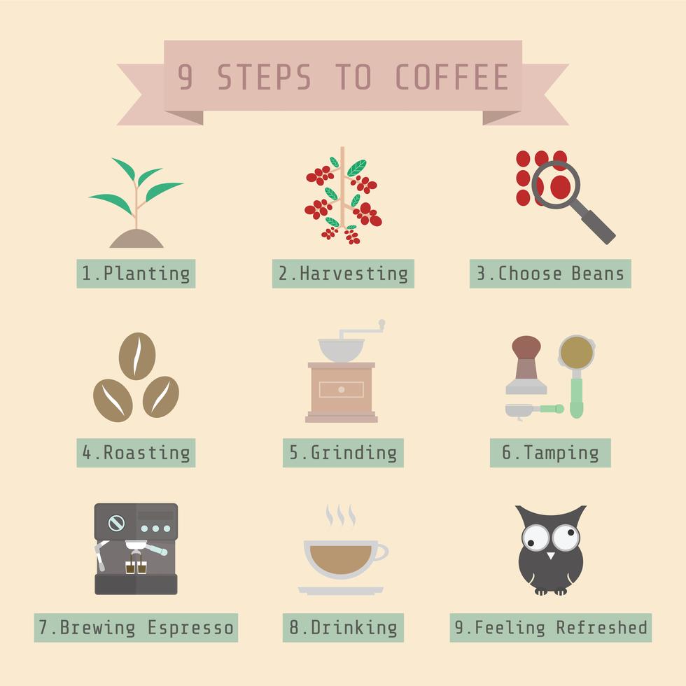 step of coffee process vector